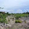 0.05 ha Land at Malindi thumb 1