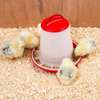 1.5 Kg Chicken Feeder with Anti-Scatter Ring thumb 1