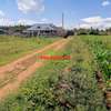 0.05 ha Residential Land at Lusigetti thumb 13