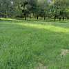 0.25 ac Land at Thika -Gatanga Road thumb 8