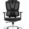 Office Chair: Orthopedic Modern Corporate Office Seat thumb 4