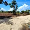 Residential Land in Malindi thumb 10