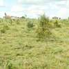50*100Ft Plots in Kamulu Town thumb 6