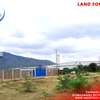 5 to 200acres of Prime land for sale in Sultan Hamud thumb 12