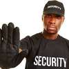 Trained Bouncers for Hire in Nairobi – Keep Your Event Safe! thumb 2
