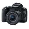 Canon EOS 250D DSLR Camera With 18-55mm F/4-5.6 IS STM Lens thumb 1