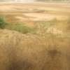 100 Acres Touching River Athi in Makueni is For Sale thumb 3