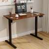 Standing Desk; 1.2M Electric Standing Desk thumb 5