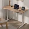 OFFICE DESK :Electrical Adjustable Office Desk thumb 5