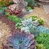 Professional Gardeners for Hire in Thika Town | Call Now thumb 10