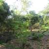 1 ac Commercial Land at Diani thumb 12