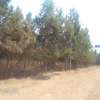 1/2 acre land at Kajiado county Tinga area thumb 0