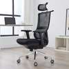 Office Chairs: Ergonomic High Back Computer Black Chair thumb 5