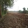 3 Acres Developed Farm For Sale in Red Hill - Limuru thumb 10