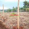 0.05 ha Residential Land in Kamangu thumb 19