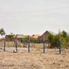Sunshine  gardens  juja farm thumb 1