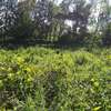 1000 m² residential land for sale in Ngong thumb 3