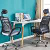 Adjustable High Back Ergonomic Office Chair thumb 2