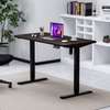 Luxury Electric Height Adjustable Standing Desk thumb 4