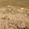 5 Acres block for sale in Ndeiya Nguirubi thumb 2