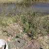 1 acre land kitengela thumb 3