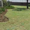 Landscaping & Gardening Services in Kenya thumb 14