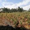 5000 m² residential land for sale in Ngong thumb 5