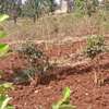 Kenol town commercial/residential plots for sale thumb 0