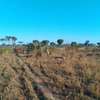 33 ac Commercial Land at Kiwengu thumb 13