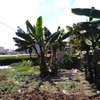 80 by 100 plot for sale in Ruaka thumb 2