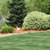 Lawn Mowing And Garden Services | Request your free, no-obligation grass cutting quotation now thumb 9