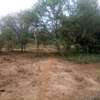 153 Acres of Land For Sale in Ngatateak - Namanga Rd thumb 6