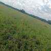 Land for sale in Lenchani thumb 3