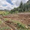 0.125 ac Land in Ruaka thumb 2