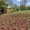 0.045 ha Residential Land at Kikuyu Kamangu thumb 2