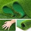 SUPER GREEN GRASS CARPET thumb 9