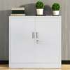 Economical 2-Door File Cabinet – Modern Design thumb 3