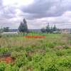 0.125 ac Residential Land at Migumoini thumb 12