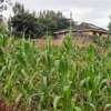0.113 ac residential land for sale in Ngong thumb 0