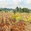 0.05 ha Residential Land in Kamangu thumb 19