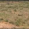 Lukenya Land thumb 1