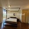 Furnished 3 Bed Apartment with En Suite in Spring Valley thumb 17