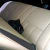 Car interior thumb 2