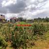 0.05 ha Residential Land in Gikambura thumb 3