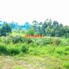 0.05 ha Residential Land at Ondiri thumb 3