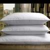 Quality compressed/ inflatable  pillows per pair thumb 0