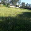 Lovely Half Acre Land in Ongata Rongai thumb 8