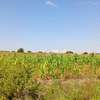 2 acres commercial land for sale thumb 0