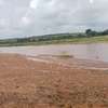 175 Acres Touching River Is Available For Sale in Baricho thumb 0