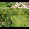 Residential Land in Vipingo thumb 0